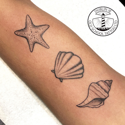 small sea shells tattoo